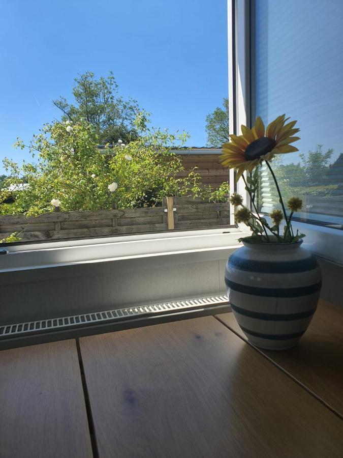 Holidays In Dirkshorn 外观 照片