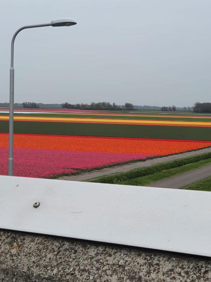 Holidays In Dirkshorn 外观 照片